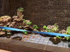 -尚源温泉水汇
