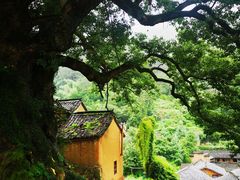 -杨家堂村
