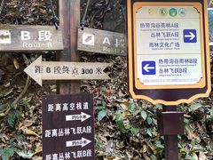 -西双版纳原始森林公园