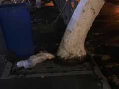 尿在扫把那里的-新疆玉石阿卜都烧烤(太平南路店)