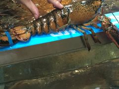 -盒马鲜生(杭州运河上街店)
