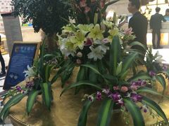 东吴水韵温泉水疗-东吴水韵(吴中店)