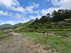 -大姆山草场