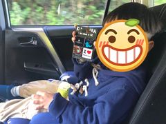 -怀托摩萤火虫洞