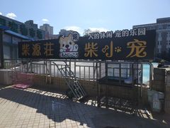 -柴源莊·柴小宠柴犬咖啡