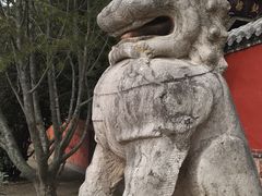 -泰山风景名胜区-普照寺