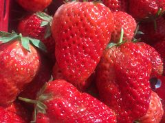 -陈记柳州螺蛳粉(大坪店)