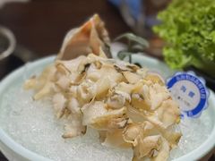 海螺姿造-东海怡品海鲜豆捞(星街坊店)