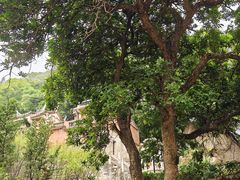 -草庵摩尼教遗址公园