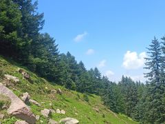 -芦芽山旅游度假区