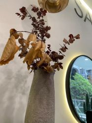 -SWANK SALON