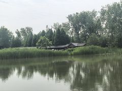 -溱湖国家湿地公园