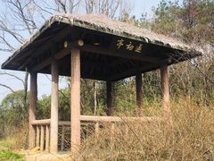 -宝界山林公园