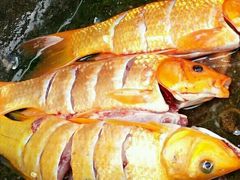 -楠溪江风景名胜区