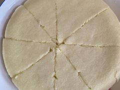 -南汇老顾农家乐采摘大团水蜜桃采摘店