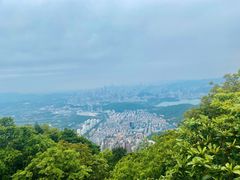 -梧桐山风景名胜区