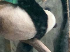 -灵玲国际马戏城