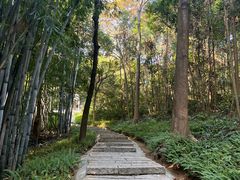 -黄埔油麻山森林公园
