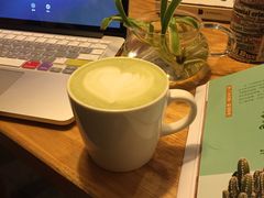 抹茶拿铁-猫的天空之城概念书店(西塘古镇店)