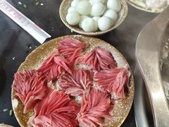 -大龙火锅(老店)