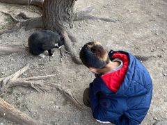 -大觉寺-停车场