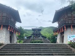 -大唐贡茶院