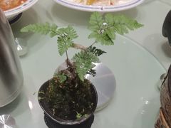 -老雒阳面馆·水席(洛宁高速路口店)