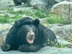 -北京野生动物园