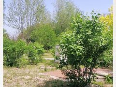 -廊坊市自然公园