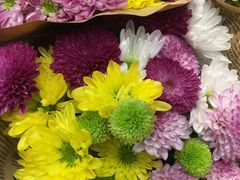 -豆豆花艺(新光天地店)
