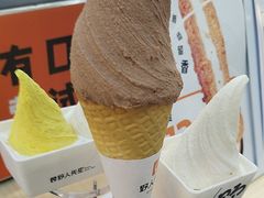 -野人先生现做冰淇淋(西安赛格店)