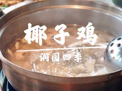 -润园四季椰子鸡火锅(海上世界店)