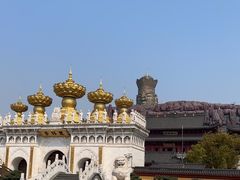 -上海东林寺(金山区)