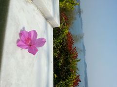 android_upload_pic-天目湖涵田半山温泉水乐园