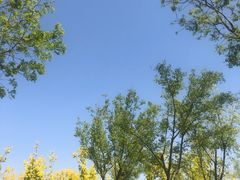-东郊湿地公园