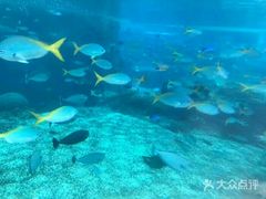 -新加坡水上探险乐园