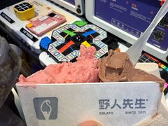 -野人先生现做冰淇淋(北京王府井东方新天地店)