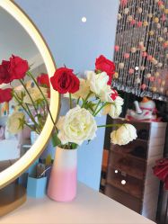 -哈颜科技轻美·