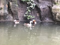 -鸳鸯湖景区