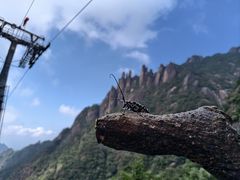 -三清山风景名胜区