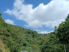 -火炉山森林公园