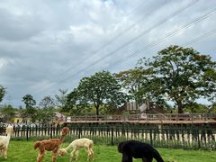 -盈香心动乐园