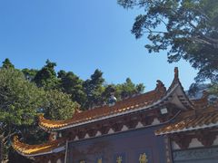 -深圳仙湖植物园