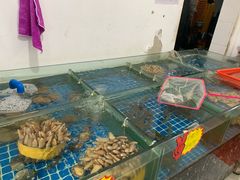 -杏坛公平靓正(伦教滨江店)