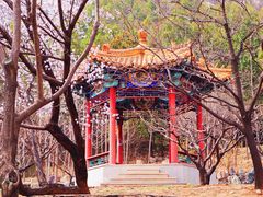 -北京凤凰岭