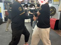 -温鉴良实用咏春拳