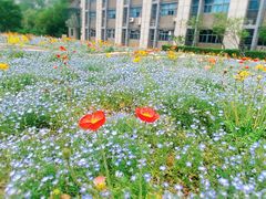 -浙江大学(紫金港校区)