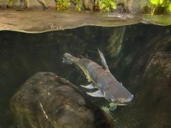 -太平洋海底世界