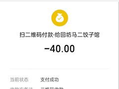 -回坊马二饺子馆