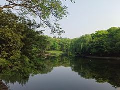 -共青国家森林公园-南大门停车场